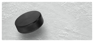 DNSEMP-L-350 Hockey Puck